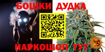 apvp Шебекино