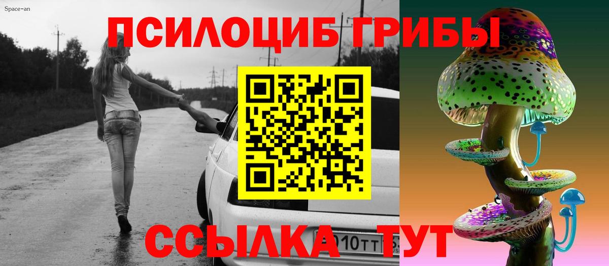 Галлюциногенные грибы Psilocybine cubensis Алексеевка
