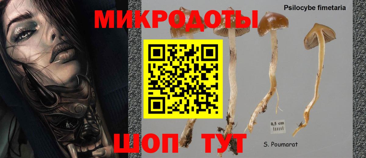 Меф Алексеевка