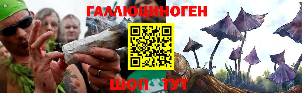 Алексеевка  Псилоцибиновые грибы GOLDEN TEACHER  Галлюциногенные грибы GOLDEN TEACHER  Вход с VPN 